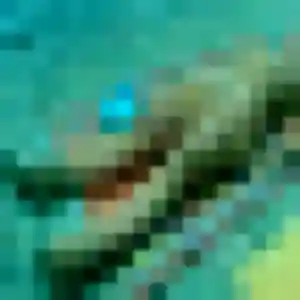 Shérazade (38 ans) à Vendenheim attend une rencontre maintenant