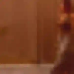 Jolie Fatoumata, 30 ans à Ver-sur-Launette - découvrir son profil