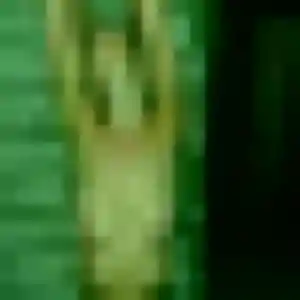 Jamila, 32 ans, disponible à Verchain-Maugré pour une rencontre coquine