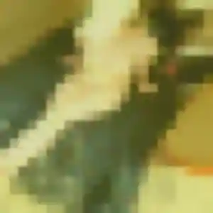 Photo de Pascaline à Vergéal (22 ans) - plan cul sans inscription