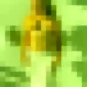 Zaïna, 22 ans, disponible à Verneix pour un plan cul