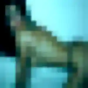 Photo privée de Titi, 43 ans à Vernet-les-Bains - rencontre sans lendemain