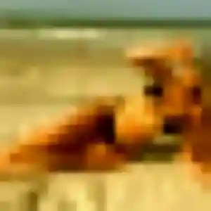 Jennifer, 26 ans, veut un plan cul à Vernet