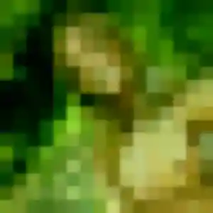 Arame, 30 ans, dispo pour plan cul à Verniolle