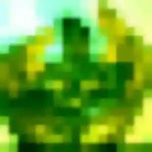 Charmante Gnima, 31 ans à Verrières - découvrir son profil