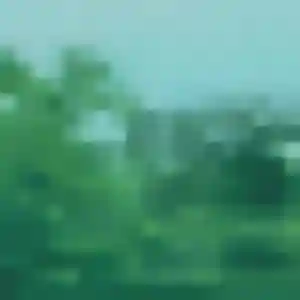 Paulette, 44 ans, dispo pour plan cul à Vert-le-Grand