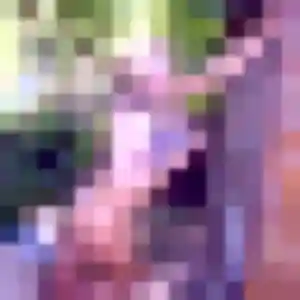 Photo de Assétou à Verzy (44 ans) - plan cul discret