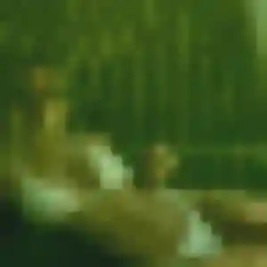 Amara, 25 ans, dispo pour plan cul à Veynes