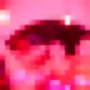 Découvre Audrey, 23 ans à Veyre-Monton en t'inscrivant