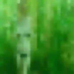 Charmante Madeleine, 32 ans à Veyrier-du-Lac - la contacter