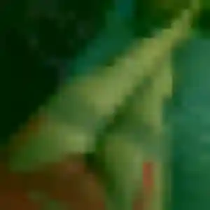 Photo perso de Fanta, 32 ans à Vézénobres - plan discret