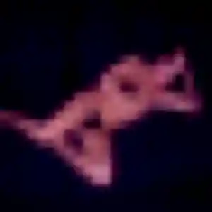 Charmante Maëva, 30 ans à Vianne - voir sa photo