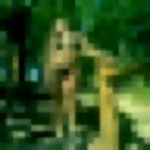 Titilayo, 23 ans, cherche un plan cul à Viarmes