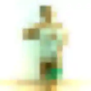 Contacte Brigitte, 33 ans à Vicq-sur-Gartempe en privé