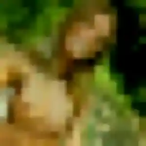 Photo exclusive de Stacy, 32 ans à Vieilles-Maisons-sur-Joudry - rencontre coquine