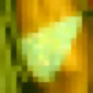 Rencontre Neema, 32 ans à Viennay en t'inscrivant