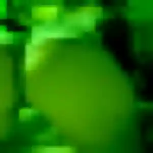 Photo privée de Gnilane, 29 ans à Vieux-Boucau-les-Bains - rencontre sans lendemain