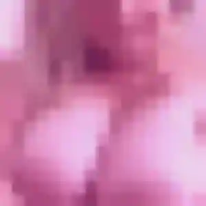 Découvre Zara, 45 ans à Viglain gratuitement