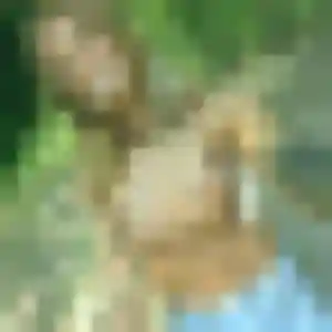Madeleine, 39 ans, connectée à Villebon-sur-Yvette pour une rencontre coquine