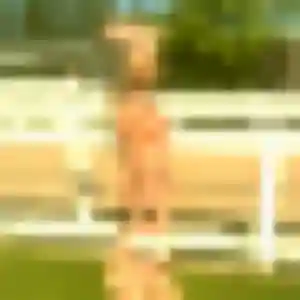 Belle Charline, 43 ans à Villedieu-sur-Indre - la contacter