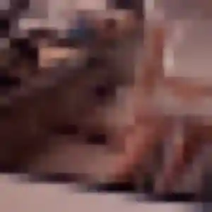 Diane, 22 ans, en ligne à Villeneuve-en-Retz pour une rencontre coquine