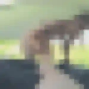 Découvre Dienaba, 45 ans à Villers-Pol en t'inscrivant