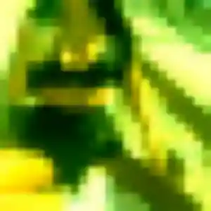 Jolie Stella, 37 ans à Villetaneuse - voir sa photo