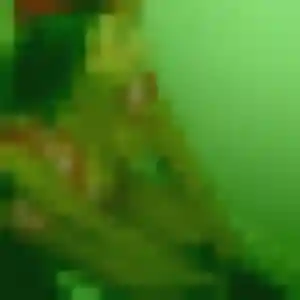 Precious, femme de 44 ans cherche plan cul à Villette-sur-Ain