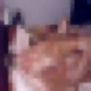 Photo exclusive de Sixtine, 39 ans à Villette-sur-Ain - rencontre sans lendemain