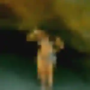 Profil de Quetsia à Villiers-Saint-Georges (32 ans) - plan cul anonyme