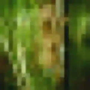 Profil de Noëlle à Viroflay (39 ans) - plan cul gratuit