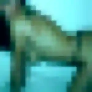 Photo de Cindy à Viry-Noureuil (33 ans) - plan cul sans inscription