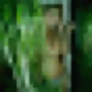 plan cul à Viterne : photo de Noëlle, 27 ans - accès libre