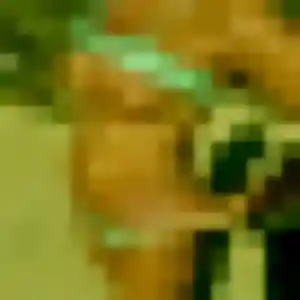 Profil de Ifeoma à Vitry-en-Perthois (30 ans) - plan cul anonyme