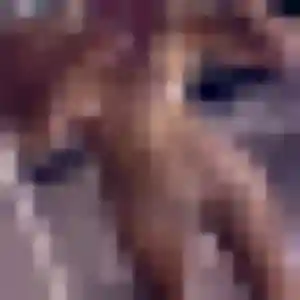 Ludivine, 22 ans, cherche un plan cul à Volgelsheim