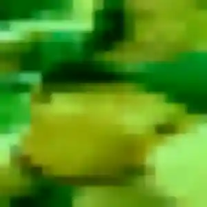 Ramatoulaye, 25 ans, dispo pour plan cul à Volvic