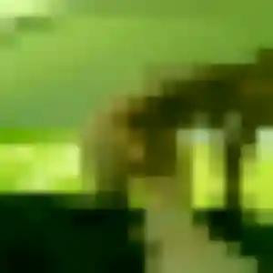 Amani (45 ans) à Vornay cherche un plan cul rapidement