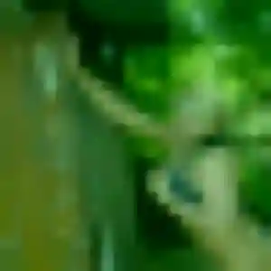 Assétou, 24 ans, dispo pour plan cul à Voulangis