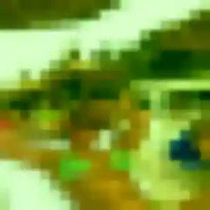 Isatou, 33 ans, dispo pour plan cul à Wallon-Cappel