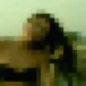Belle Mireille, 37 ans à Wambrechies - la contacter