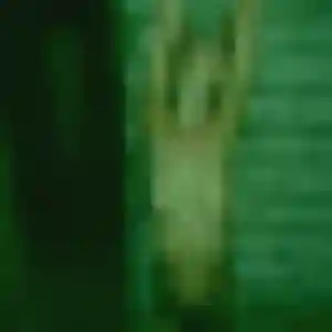 Photo de Madeleine à Wargnies-le-Petit (32 ans) - plan cul anonyme