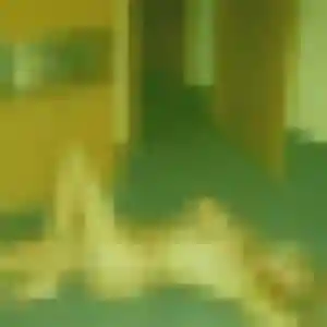 Photo de Téning à Wentzwiller (43 ans) - plan cul discret