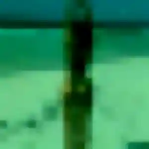 Belle Fama, 45 ans à Willer-sur-Thur - voir sa photo