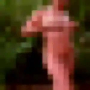 Solène, fille de 40 ans cherche plan cul à Willgottheim