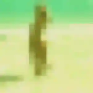 Découvre Wilda, 42 ans à Wilwisheim en privé