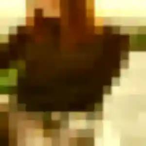 Rejoins Dalila, 43 ans à Wimmenau en privé