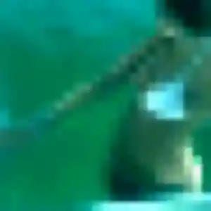 Jolie Abibatou, 40 ans à Wirwignes - la contacter