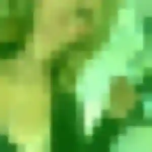 Photo de Ophélie à Wissous (22 ans) - plan cul anonyme