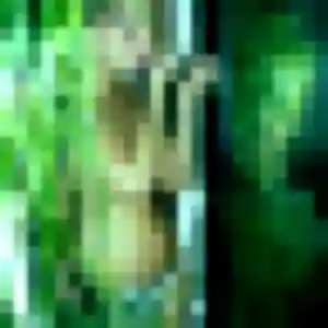 Gladys, 31 ans, connectée à Witry-lès-Reims pour une rencontre coquine