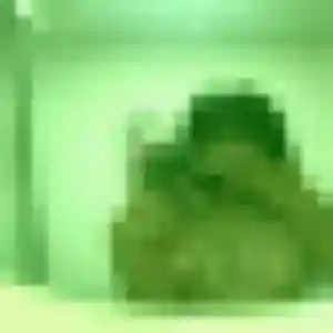 Photo exclusive de Neema, 37 ans à Witternesse - rencontre sans lendemain